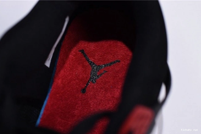 Jordan 4 Retro NRG Air Raptors